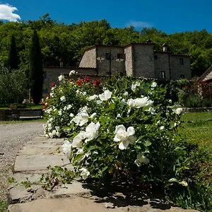 Azienda Agricola Il Pozzo , Capolona Italien